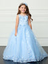 Girls Princess Tulle Dress with Floral Lace Appliqués – Elegant Flower Girl & Party Gown Formal Dress 2-16