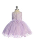 Baby Girls Elegant Dress with Floral Lace & Tulle Skirt 6-24M