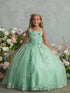Girls Princess Tulle Dress with Floral Lace Appliqués – Elegant Flower Girl & Party Gown Formal Dress 2-16