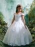 Girls Princess Embroidered Ball Gown for Girls – Floral Tulle Special Occasion Dress 2-18