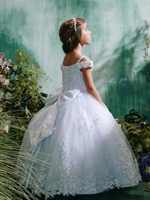 Girls Princess Embroidered Ball Gown for Girls – Floral Tulle Special Occasion Dress 2-18