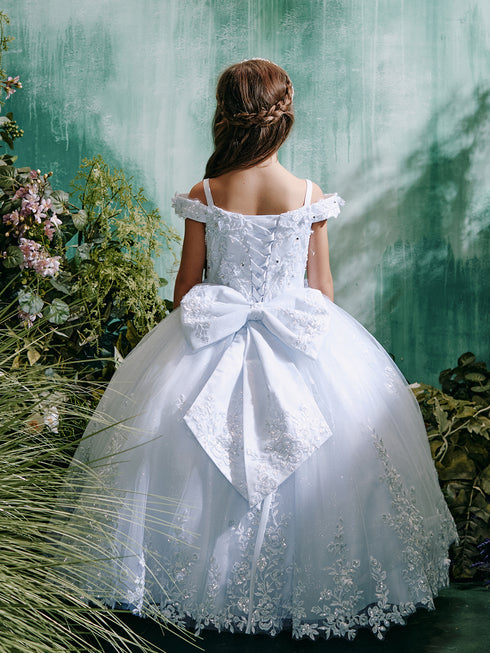 Girls Princess Embroidered Ball Gown for Girls – Floral Tulle Special Occasion Dress 2-18