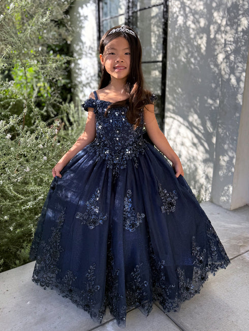 Girls Princess Embroidered Ball Gown for Girls – Floral Tulle Special Occasion Dress 2-18