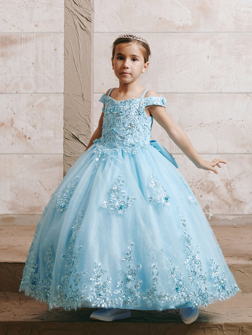Girls Princess Embroidered Ball Gown for Girls – Floral Tulle Special Occasion Dress 2-18