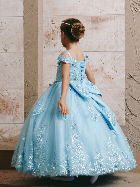 Girls Princess Embroidered Ball Gown for Girls – Floral Tulle Special Occasion Dress 2-18