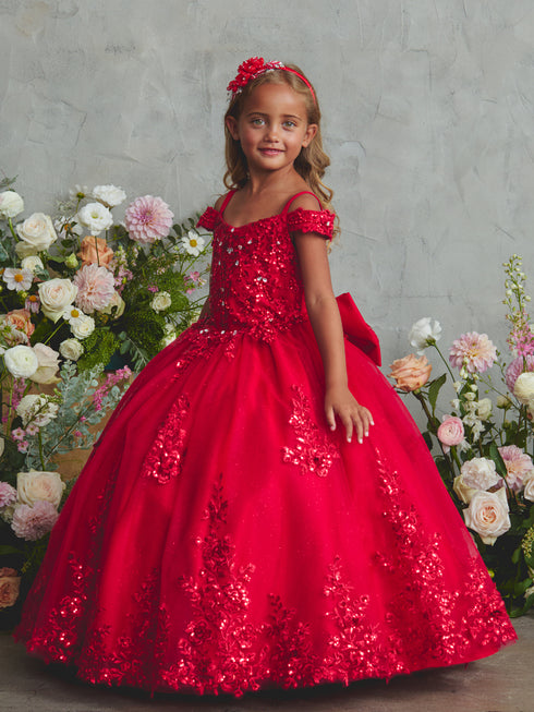 Girls Princess Embroidered Ball Gown for Girls – Floral Tulle Special Occasion Dress 2-18