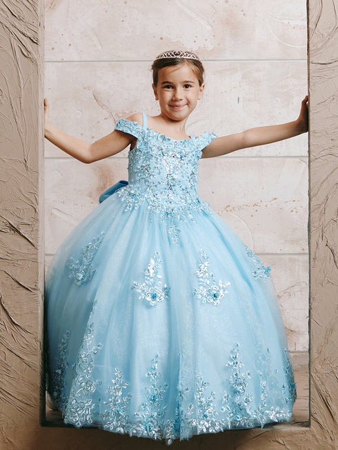 Girls Princess Embroidered Ball Gown for Girls – Floral Tulle Special Occasion Dress 2-18