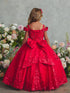 Girls Princess Embroidered Ball Gown for Girls – Floral Tulle Special Occasion Dress 2-18