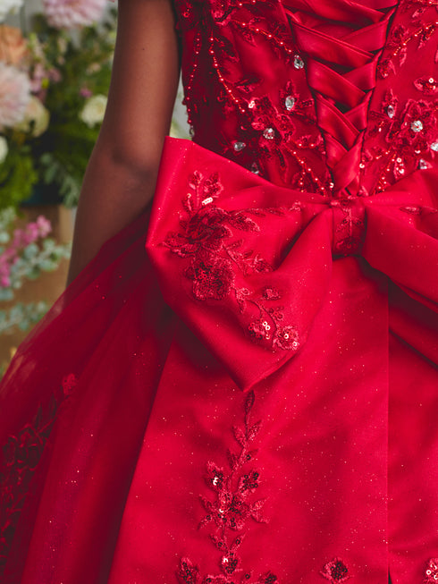 Girls Princess Embroidered Ball Gown for Girls – Floral Tulle Special Occasion Dress 2-18