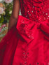 Girls Princess Embroidered Ball Gown for Girls – Floral Tulle Special Occasion Dress 2-18