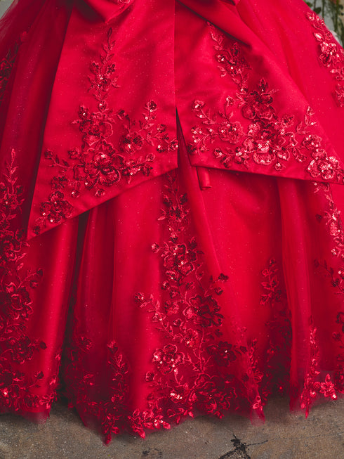 Girls Princess Embroidered Ball Gown for Girls – Floral Tulle Special Occasion Dress 2-18