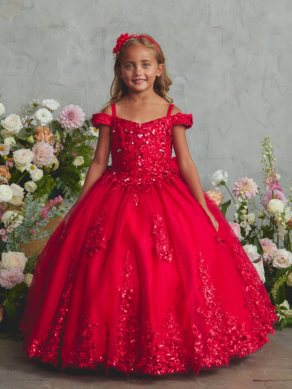Girls Princess Embroidered Ball Gown for Girls – Floral Tulle Special Occasion Dress 2-18