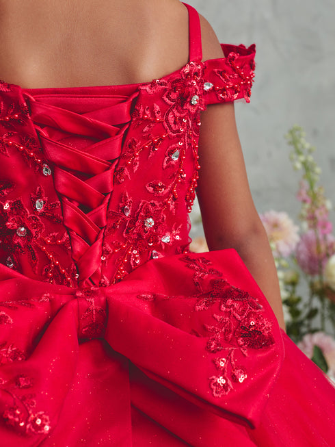 Girls Princess Embroidered Ball Gown for Girls – Floral Tulle Special Occasion Dress 2-18