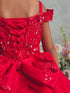 Girls Princess Embroidered Ball Gown for Girls – Floral Tulle Special Occasion Dress 2-18