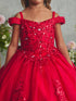 Girls Princess Embroidered Ball Gown for Girls – Floral Tulle Special Occasion Dress 2-18