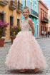 Big Girls Blush Ruffles Rhinestone Illusion Neck Pageant Dress 8-16
