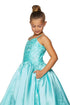 Girls Floral Lace Applique Princess Ball Gown Dress 2-16