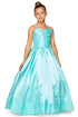 Girls Floral Lace Applique Princess Ball Gown Dress 2-16