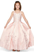 Girls Floral Lace Applique Princess Ball Gown Dress 2-16