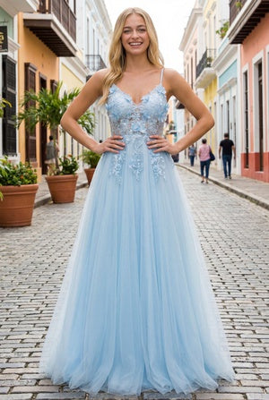 Bliss Multi Color 3D Floral Applique A Line Layered Tulle Gown for Women, Sizes XS-3XL