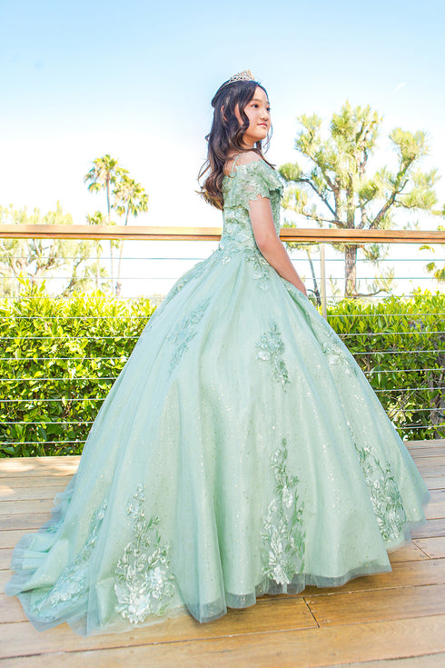 Girls Bliss Multi Color Sweetheart Sequin Glitter Lace Train Ball Gown 2-16