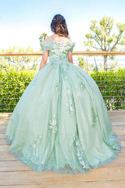 Girls Bliss Multi Color Sweetheart Sequin Glitter Lace Train Ball Gown 2-16