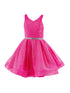Girls Hot Pink Glitter Mesh V Neck Short Dress 6-12