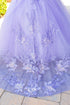 Girls Multi Color Bliss Mini Quince Off-Shoulder Tail Pageant Dress 2-16