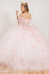 Floral Appliqués Off Shoulder Ball Gown for Women, Sizes 4/XS-16/3X