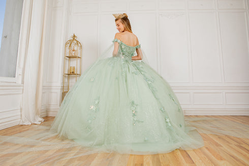 Floral Appliqués Off Shoulder Ball Gown for Women, Sizes 4/XS-16/3X