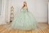 Floral Appliqués Off Shoulder Ball Gown for Women, Sizes 4/XS-16/3X