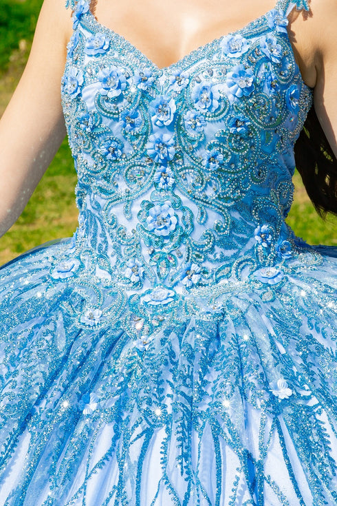 Embroidered Lace Applique Strapless Sheer Corset Ombre Ball Gown for Women 4/XS-16/3X