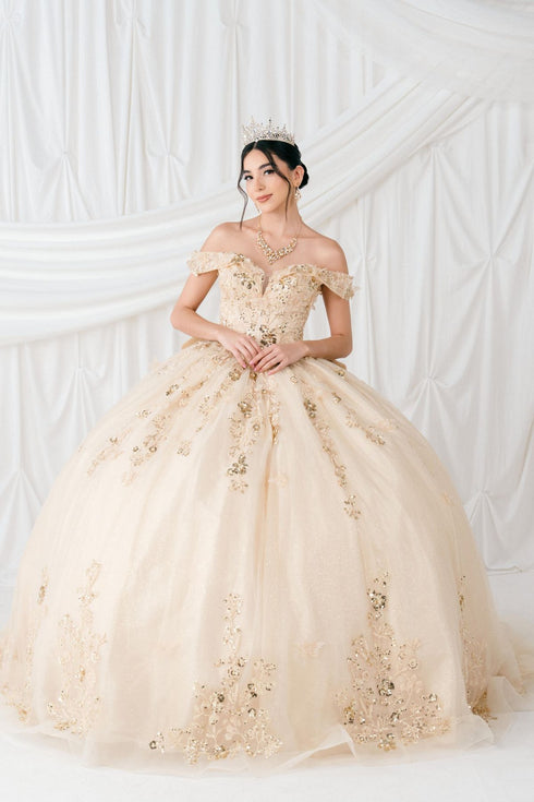 Butterfly Quinceañera Princess Ball Gown for Women, Sizes 4/XS-16/3X