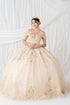 Butterfly Quinceañera Princess Ball Gown for Women, Sizes 4/XS-16/3X