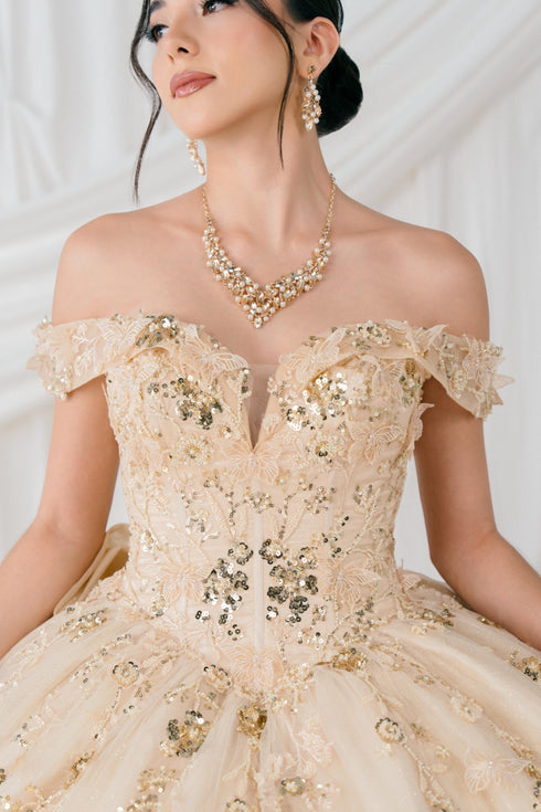 Butterfly Quinceañera Princess Ball Gown for Women, Sizes 4/XS-16/3X