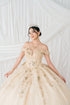 Butterfly Quinceañera Princess Ball Gown for Women, Sizes 4/XS-16/3X