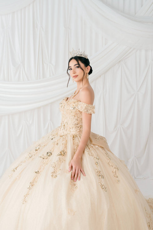 Butterfly Quinceañera Princess Ball Gown for Women, Sizes 4/XS-16/3X