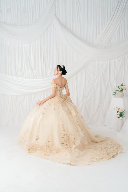 Butterfly Quinceañera Princess Ball Gown for Women, Sizes 4/XS-16/3X