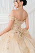 Butterfly Quinceañera Princess Ball Gown for Women, Sizes 4/XS-16/3X