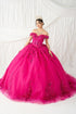 Butterfly Quinceañera Princess Ball Gown for Women, Sizes 4/XS-16/3X