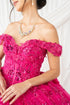 Butterfly Quinceañera Princess Ball Gown for Women, Sizes 4/XS-16/3X