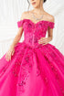 Butterfly Quinceañera Princess Ball Gown for Women, Sizes 4/XS-16/3X