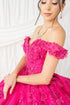 Butterfly Quinceañera Princess Ball Gown for Women, Sizes 4/XS-16/3X