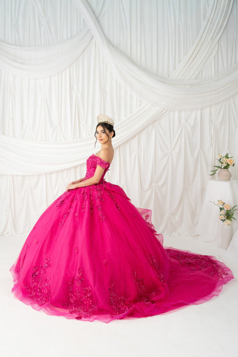 Butterfly Quinceañera Princess Ball Gown for Women, Sizes 4/XS-16/3X