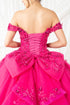 Butterfly Quinceañera Princess Ball Gown for Women, Sizes 4/XS-16/3X