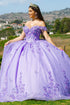 Butterfly Quinceañera Princess Ball Gown for Women, Sizes 4/XS-16/3X