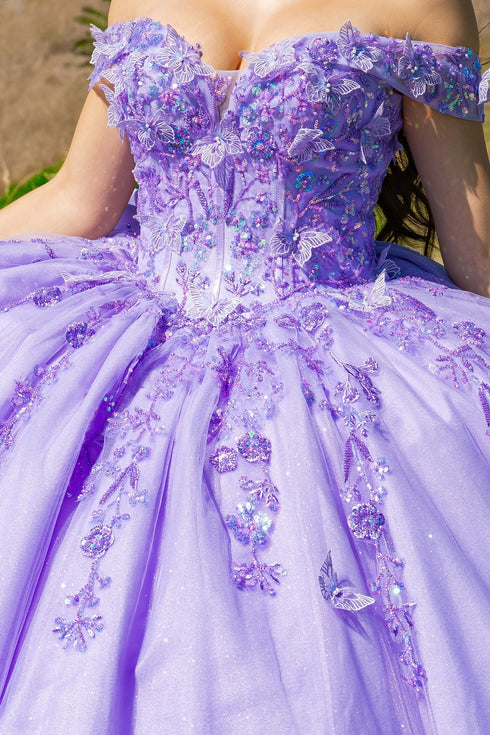 Butterfly Quinceañera Princess Ball Gown for Women, Sizes 4/XS-16/3X