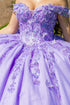 Butterfly Quinceañera Princess Ball Gown for Women, Sizes 4/XS-16/3X