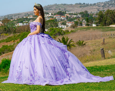 Butterfly Quinceañera Princess Ball Gown for Women, Sizes 4/XS-16/3X