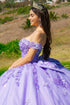 Butterfly Quinceañera Princess Ball Gown for Women, Sizes 4/XS-16/3X